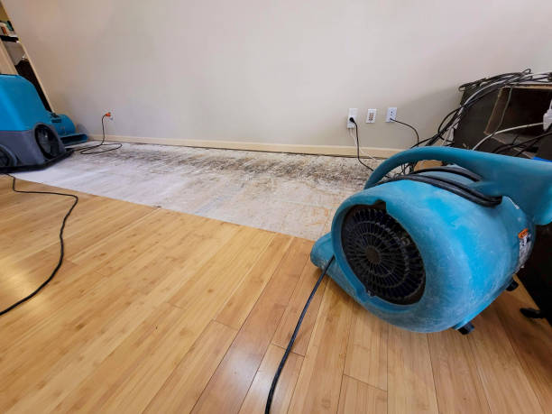 Professional Flood Damage Cleanup technician working in Woodville, AL